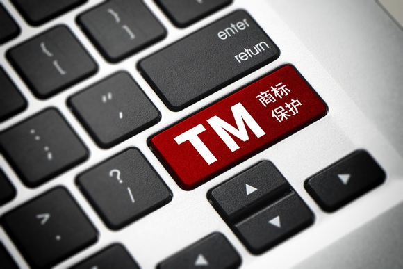 商标个人转入公司一般需要多久