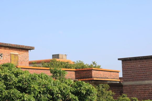 农村违章建筑打什么电话举报