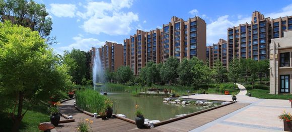 建筑资质转让是什么原因