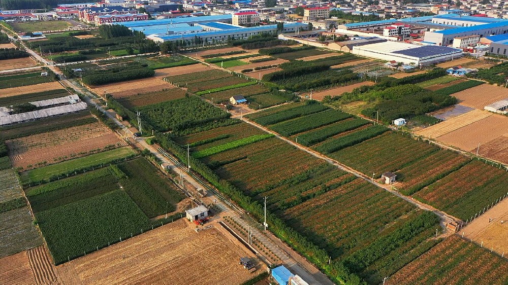 山东临沂：1700家物流企业借搬迁谋升级
