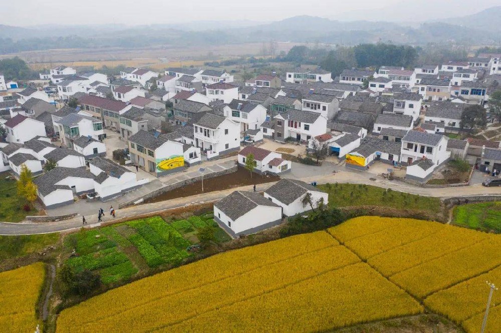 农业农村部：严禁给退休回乡干部职工分宅基地建房
